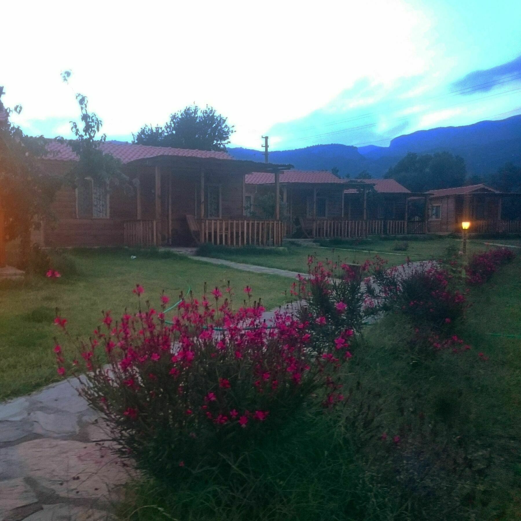 Mesudiye  Ipekce Tatil Evleri מראה חיצוני תמונה